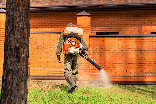 Trusted Ant Control service in Keokuk, IA - Nex Pest Control